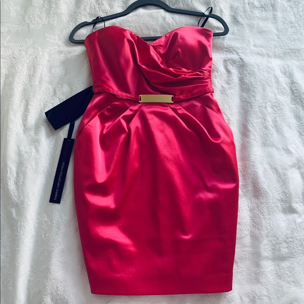 Brand new BEBE fitted satin dress (size xs)